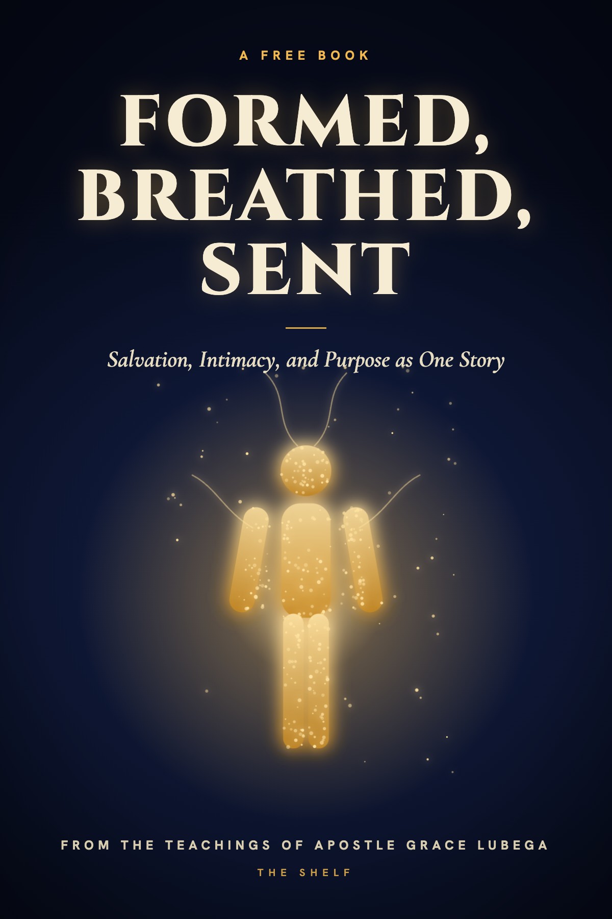 Cover of Formed, Breathed, Sent